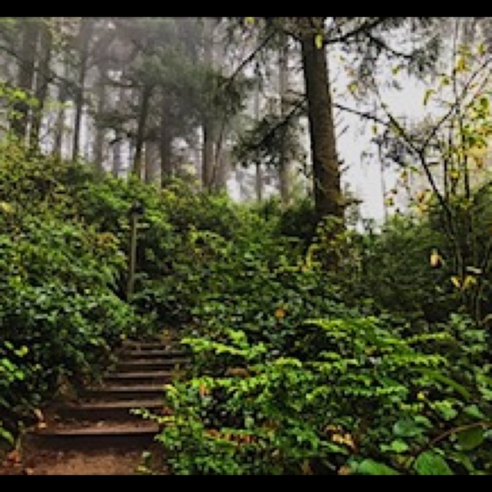 Meet your Posher, Zayra